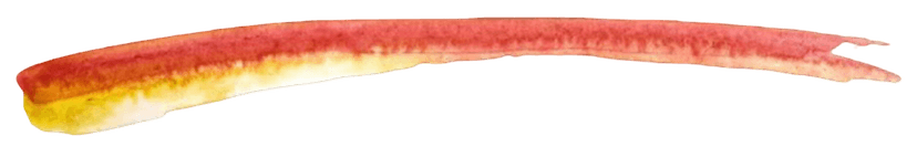Brush stroke